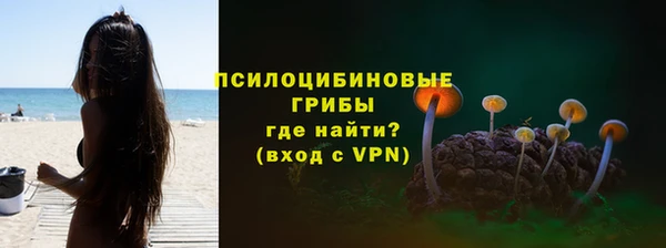 мдпв Бронницы